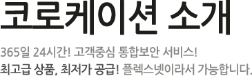 코로케이션소개 - 365일 24시간! 고객중심 통합보안 서비스! 최고급 상품, 최저가 공금! 플렉스넷이라서 가능합니다.